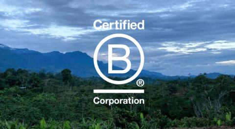 One year as a B Corp: Not a destination, but a direction