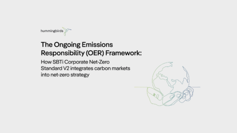 The OER framework: How SBTi Corporate Net-Zero Standard V2 integrates carbon markets into net-zero strategy