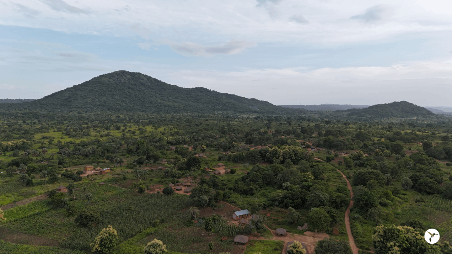 Mount Kei Uganda
